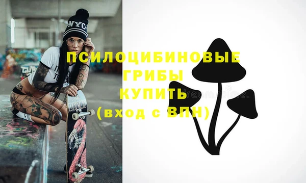эйфоретик Алексин