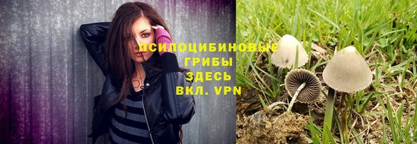 скорость Алексеевка