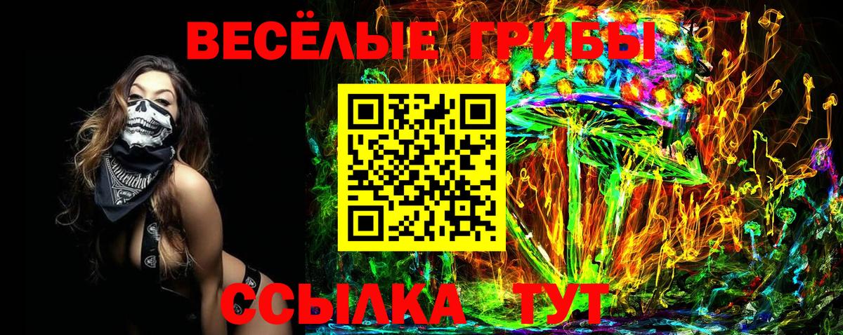 Галлюциногенные грибы мухоморы Сочи