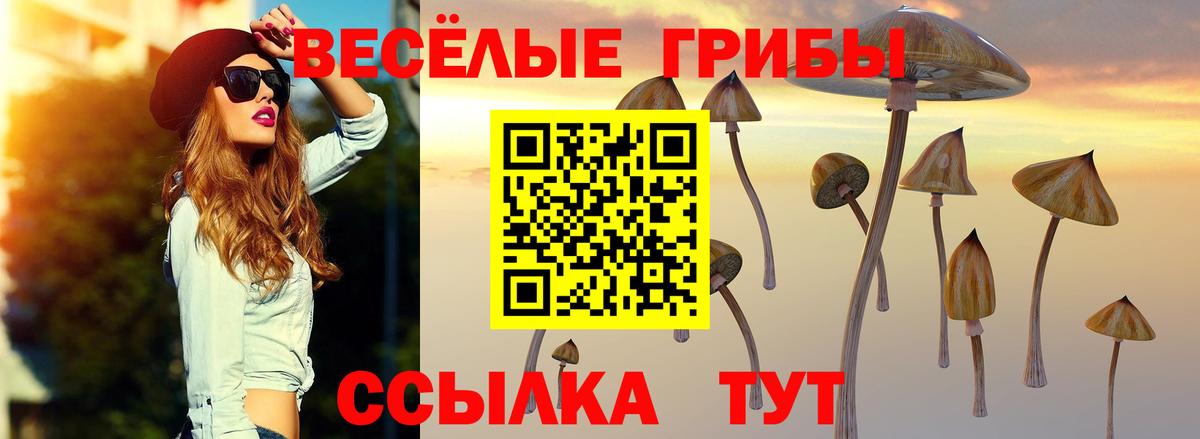 Галлюциногенные грибы Psilocybe  Вход с VPN  Сочи  Псилоцибиновые грибы мухоморы 